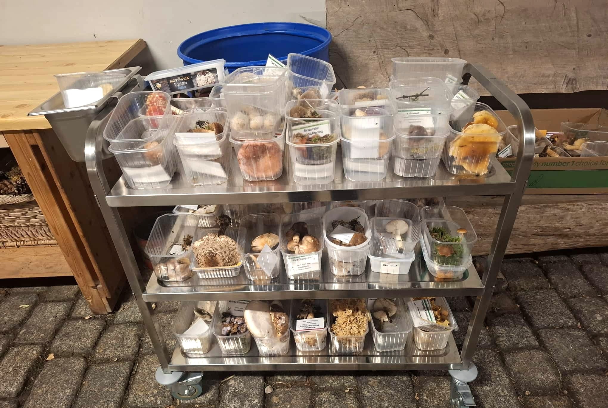 Bereit zum Transport